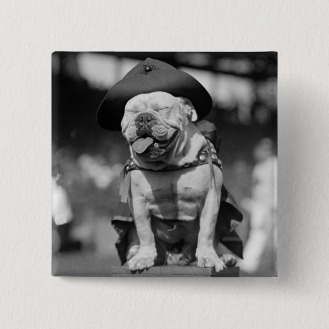 Marine Corps Mascot, 1920s Button (Front)