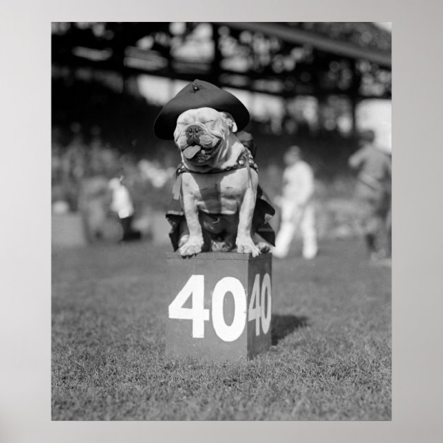 Marine Corps Mascot Jiggs: 1923 Poster (Front)