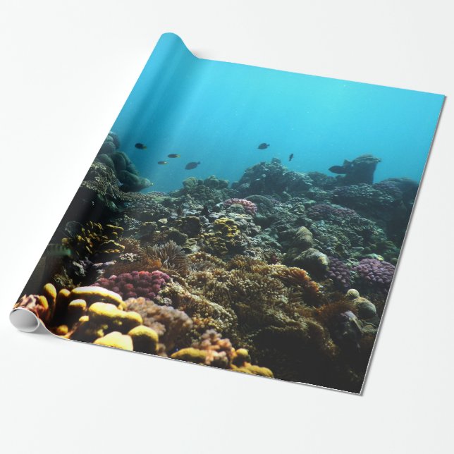 Marine Environment in the Pacific Wrapping Paper (Unrolled)