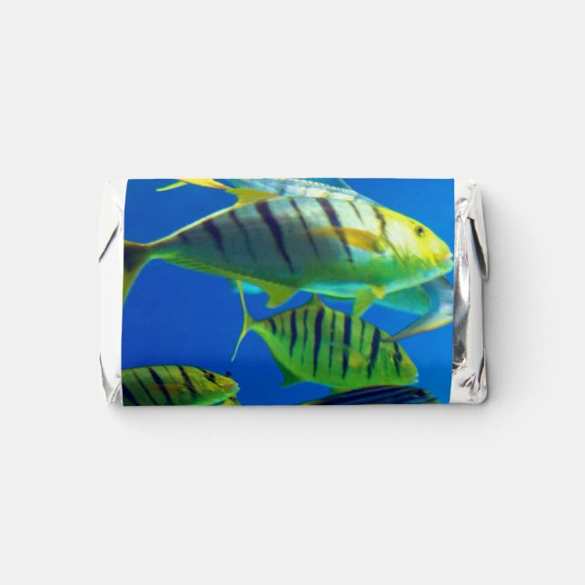 Marine Fish of Yellow with Black Stripes Hershey's Miniatures (Front)
