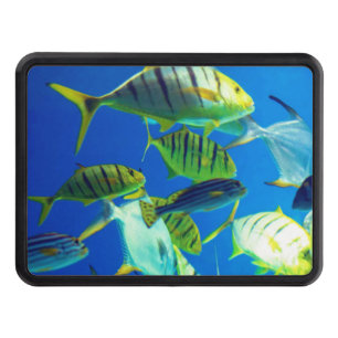 Marine Fish of Yellow with Black Stripes Hitch Cover
