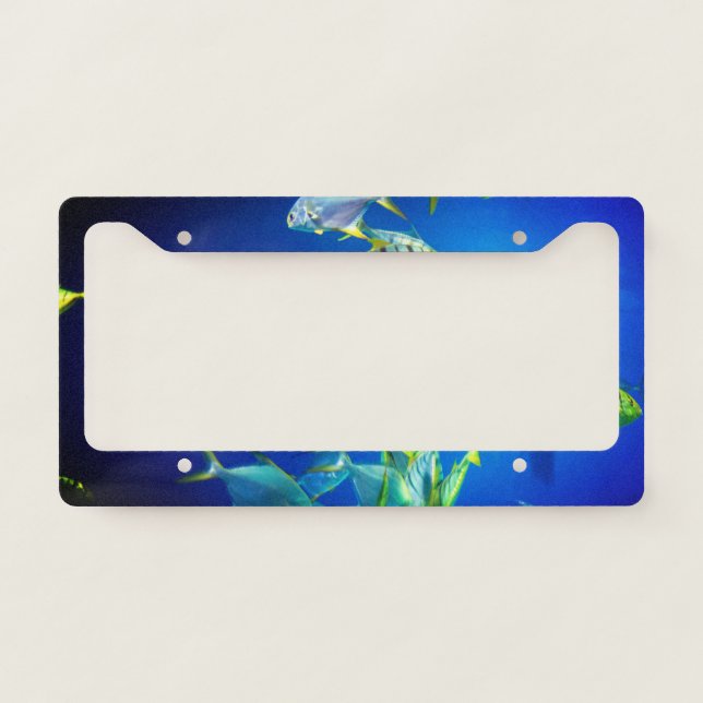 Marine Fish of Yellow with Black Stripes License Plate Frame (Front)