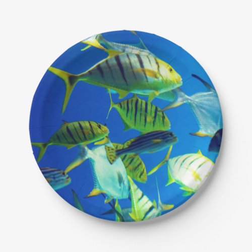 Marine Fish of Yellow with Black Stripes paper plates