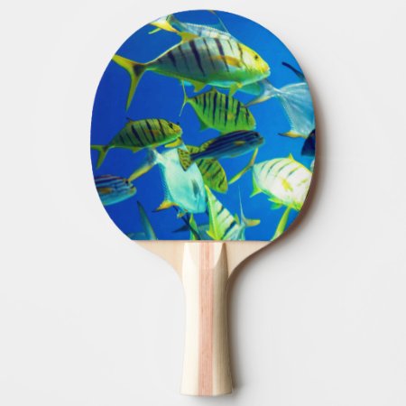 Marine Fish of Yellow with Black Stripes Ping Pong Paddle