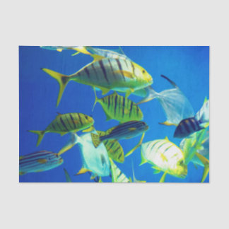 Marine Fish of Yellow with Black Stripes Tissue Paper