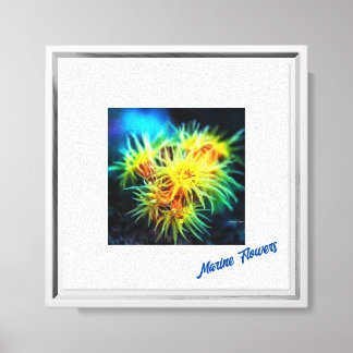 Marine flowers #1 canvas print