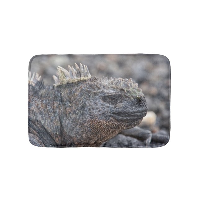Marine Iguana Bath Mat (Front)