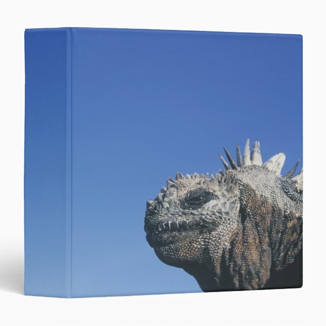 Marine Iguana Binder (Front/Spine)