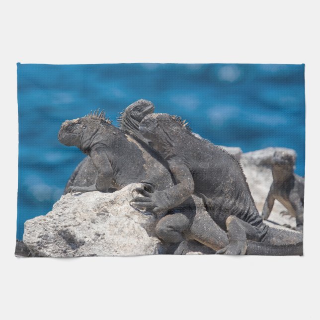 Marine Iguana Kitchen Towel (Horizontal)