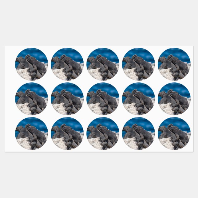 Marine Iguana Labels (Sheet)