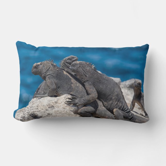 Marine Iguana Lumbar Pillow (Front)