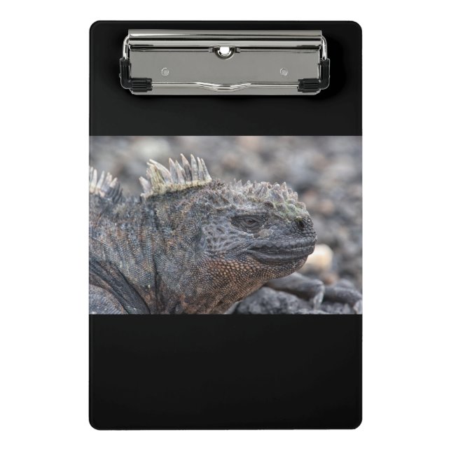 Marine Iguana Mini Clipboard (Front)