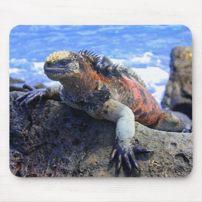 Marine Iguana Mouse Pad (Front)