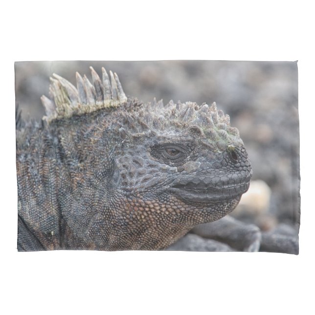 Marine Iguana Pillow Case (Front)