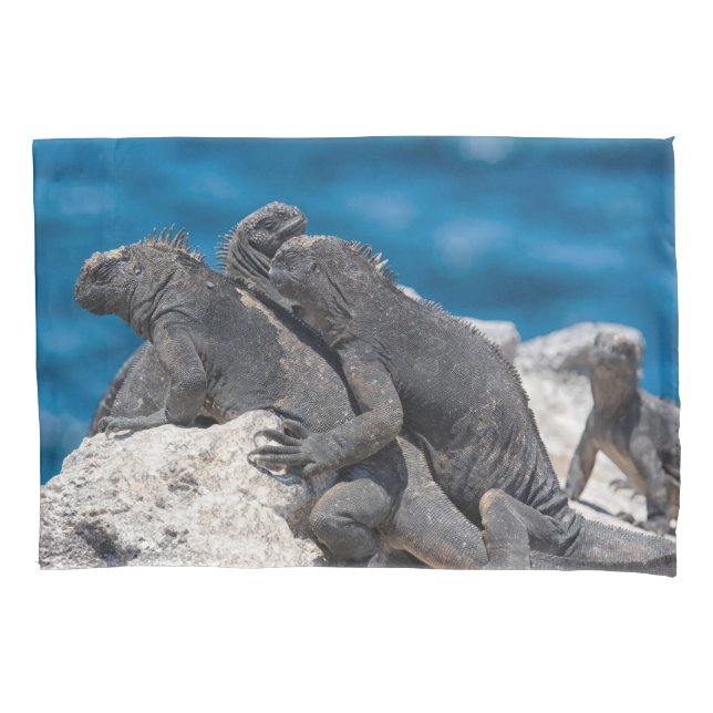 Marine Iguana Pillow Case (Front)