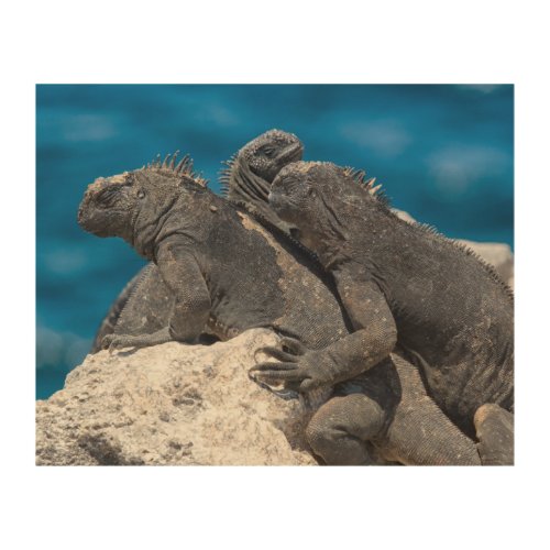 Marine Iguana Wood Wall Art