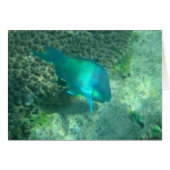 Marine Life (Front Horizontal)