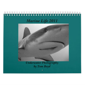 Marine Life 2011 Calendar