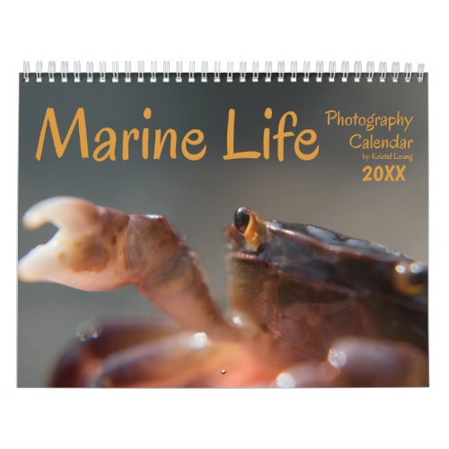 Marine Life 20XX Calendar