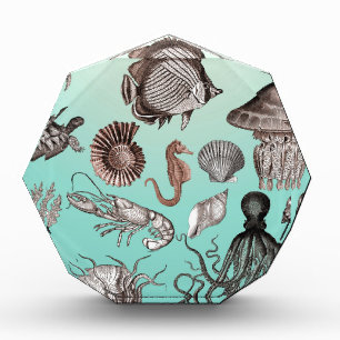 Marine Life Award