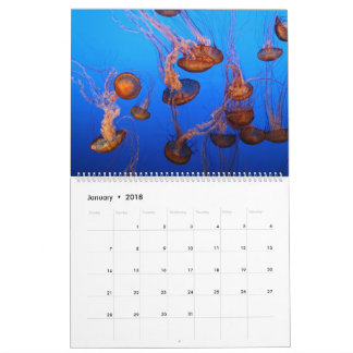 Marine life calendar