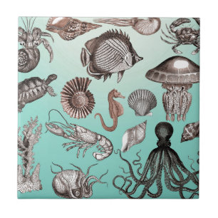 Marine Life Ceramic Tile