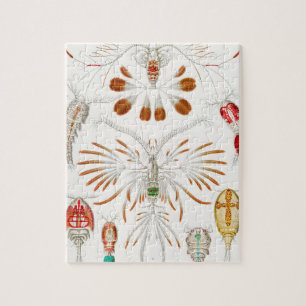 Marine Life Crustaceans, Copepoda by Ernst Haeckel Jigsaw Puzzle