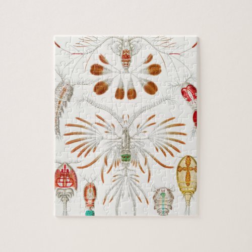 Marine Life Crustaceans Copepoda by Ernst Haeckel Jigsaw Puzzle