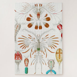 Marine Life Crustaceans, Copepoda by Ernst Haeckel Jigsaw Puzzle