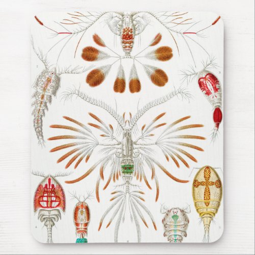 Marine Life Crustaceans Copepoda by Ernst Haeckel Mouse Pad