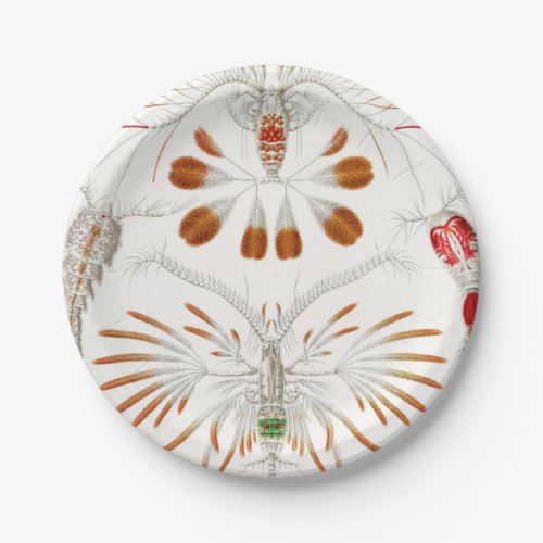Marine Life Crustaceans Copepoda by Ernst Haeckel Paper Plates