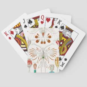 Marine Life Crustaceans, Copepoda by Ernst Haeckel Poker Cards