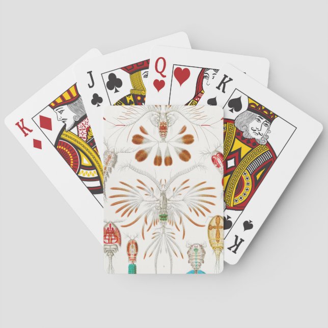 Marine Life Crustaceans, Copepoda by Ernst Haeckel Poker Cards (Back)