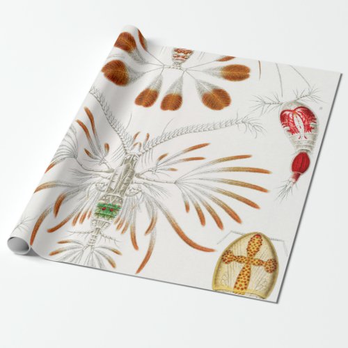Marine Life Crustaceans Copepoda by Ernst Haeckel Wrapping Paper