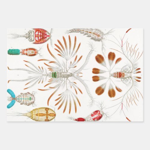Marine Life Crustaceans Copepoda by Ernst Haeckel Wrapping Paper Sheets