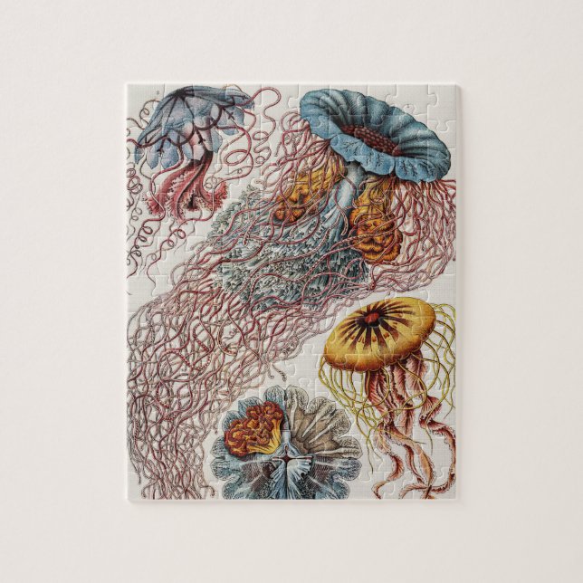 Marine Life Jellyfish Illustration - Ernst Haeckel Jigsaw Puzzle (Vertical)