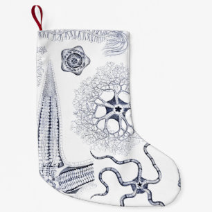 Marine Life / Marine Biology Strange Sea Creatures Small Christmas Stocking