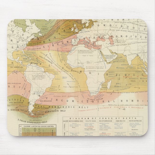 Marine life mouse pad (Front)