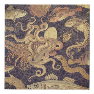 Marine life, Pompeii mosaic Faux Canvas Print