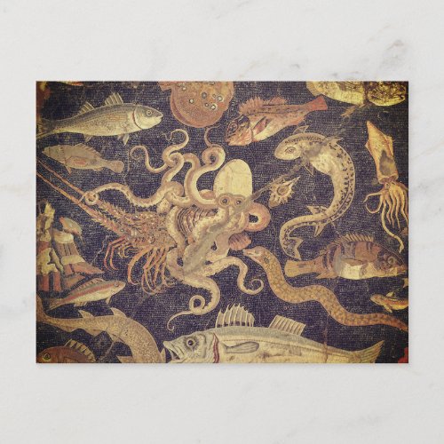 Marine life Pompeii mosaic Postcard