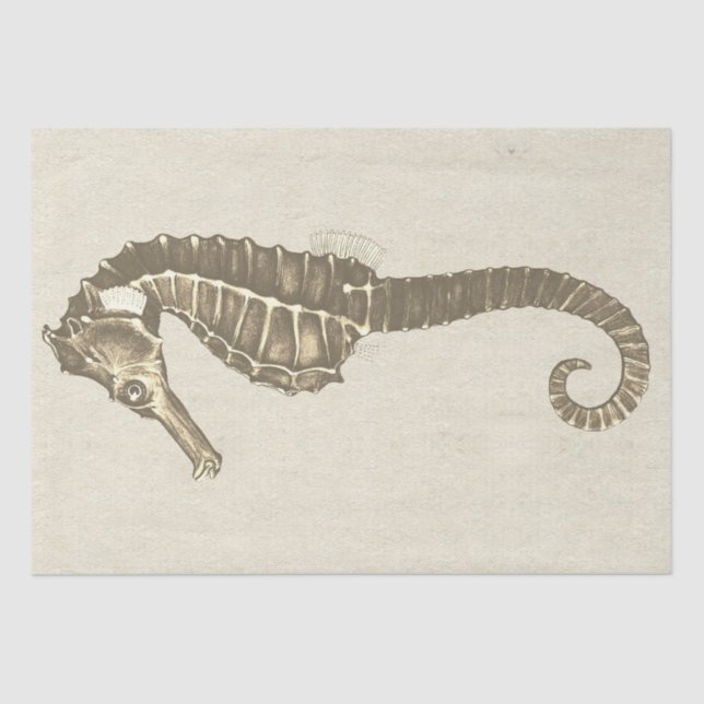 Marine Life Seahorse on Beige Antique Paper (Front)