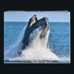 Marine Mammals Calendar<br><div class="desc">A diverse collection of Cetaceans and Pinnipeds spread out in various locations along the New Jersey coastline.</div>