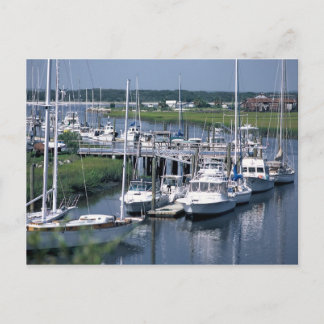 Marine Postcard