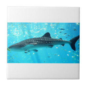 Marine Water Chic Stylish Cool Blue Whale Shark Ceramic Tile
