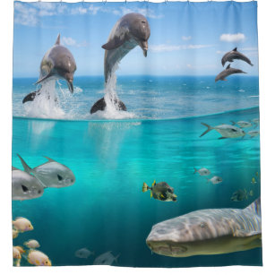 Ocean Life Shower Curtains
