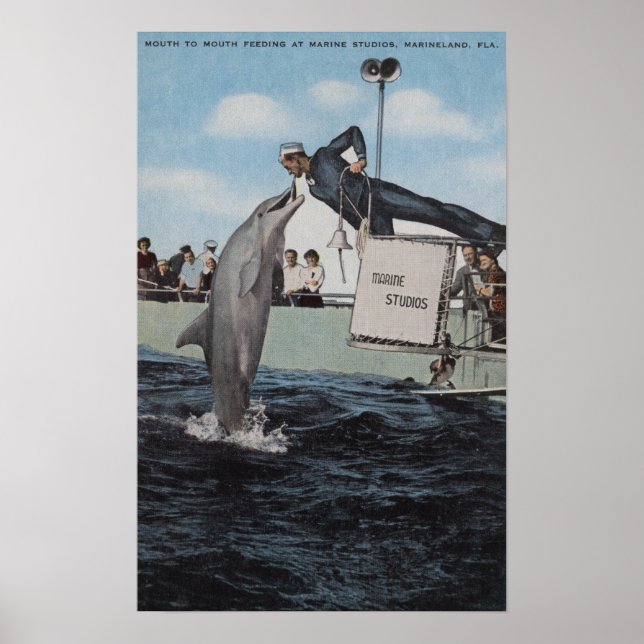 Marineland, Florida - Sailor Mouthfeeding Poster (Front)
