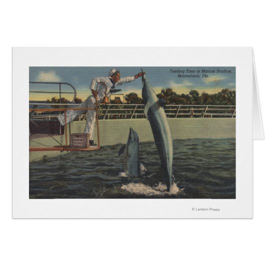 Marineland, Florida - View of Feeding Porpoises (Front Horizontal)