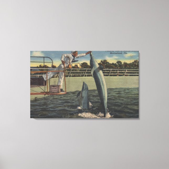 Marineland, Florida - View of Feeding Porpoises Canvas Print (Front)