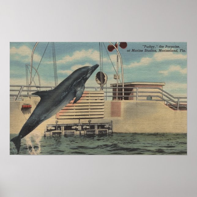 Marineland, Florida - View of Pudgy the Poster (Front)