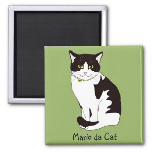 Mario da Cat Magnet